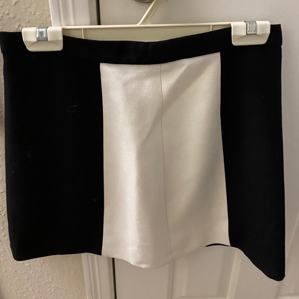 Zara Mini Skirt